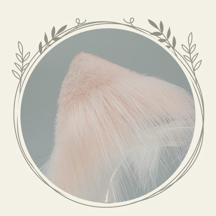 Simulated Fluffy Cat Ears Hairband Tails Furry Accessories