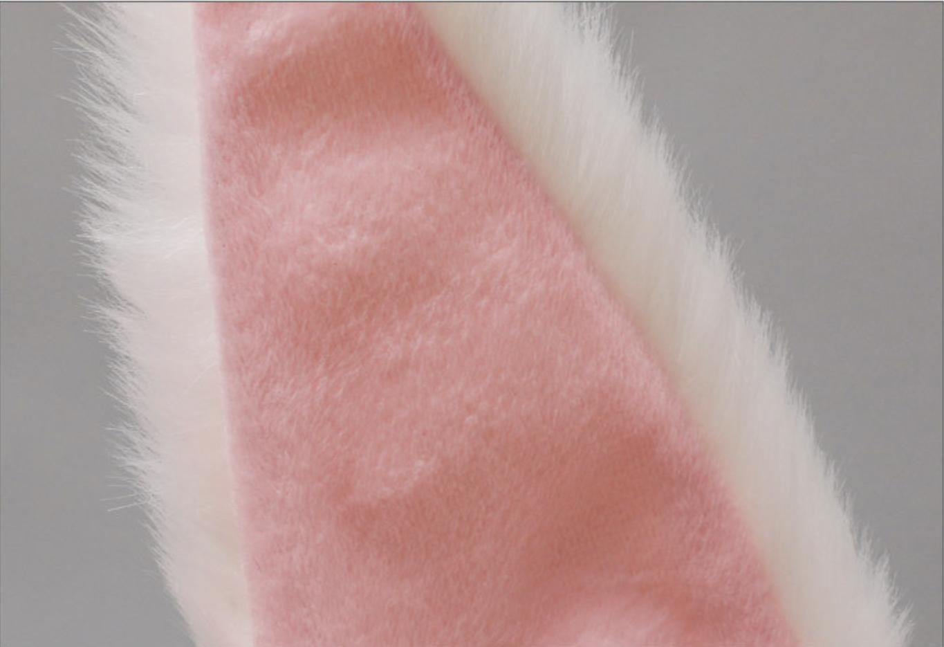 Adjustable Long Rabbit Ears Headband - Cute Bunny Kigurumi Accessory